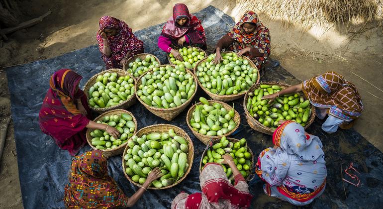 Journée de la sécurité sanitaire des aliments : l’ONU plaide pour des mesures permettant de rendre les aliments plus sûrs